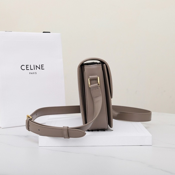 Celine Tote Bag Beige 01A 4