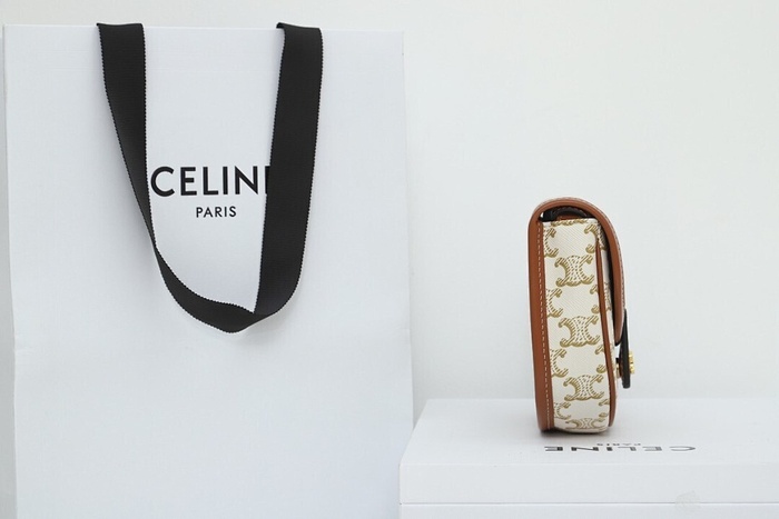 Celine Tote Bag Beige 01A 5