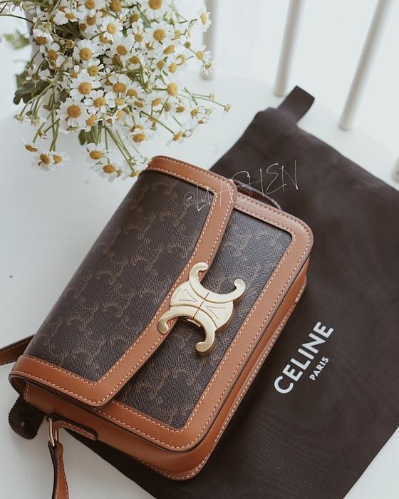 Celine Tote bag with leather accents Brown 01A