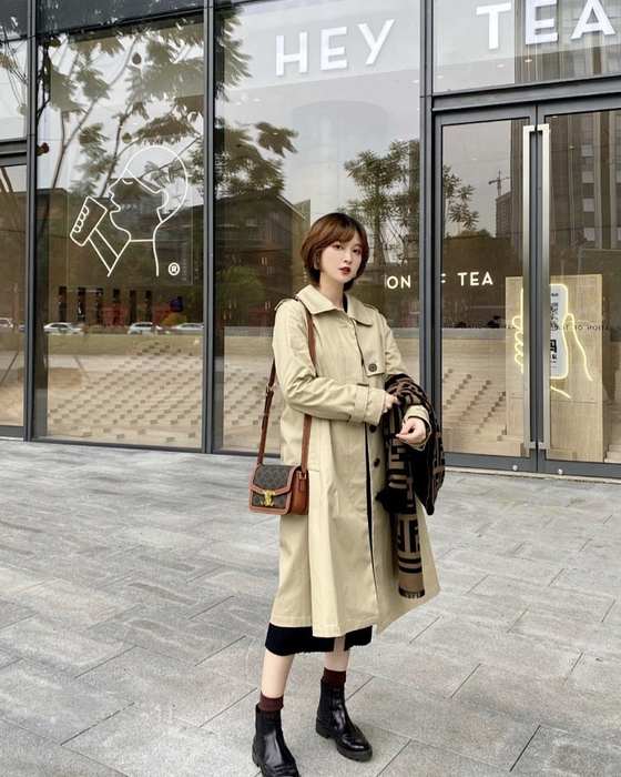 Celine Tote bag with leather accents Brown 01A