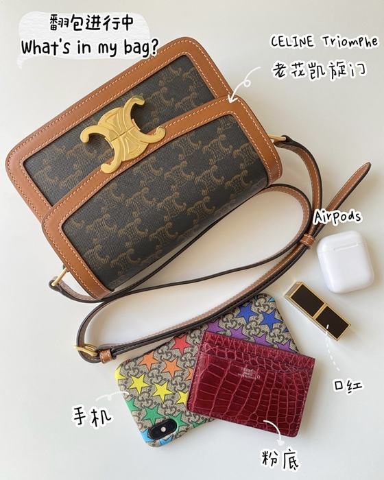 Celine Tote bag with leather accents Brown 01A