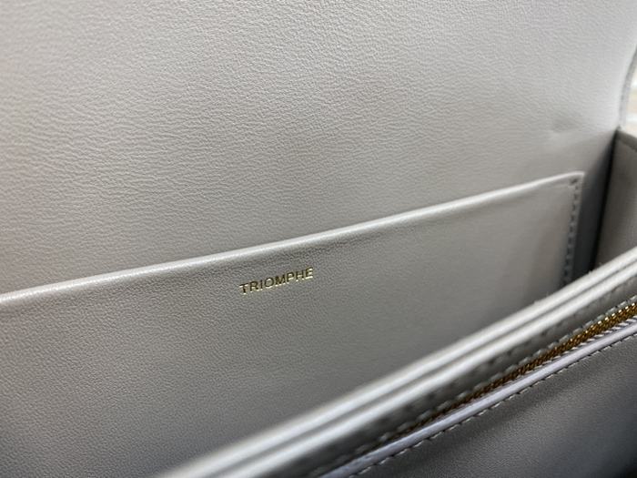 Celine Tote bag with stylish traits Grey 01A 2