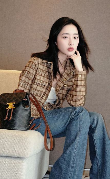 Celine Tote style 109 Brown 01A