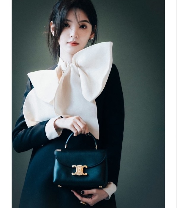 Celine Tote style 30 Black 01A