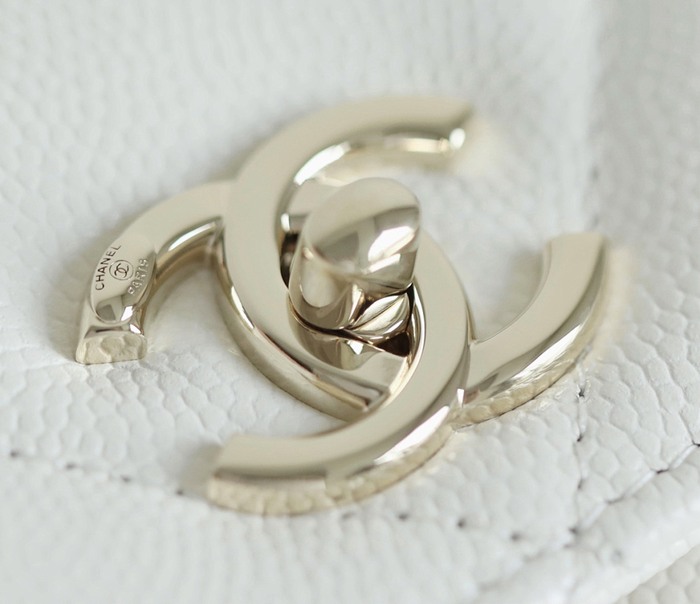 Chanel 19 bag celebrity