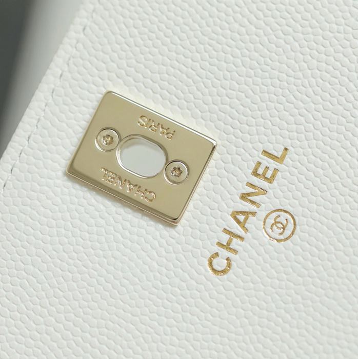 Chanel 19 bag celebrity