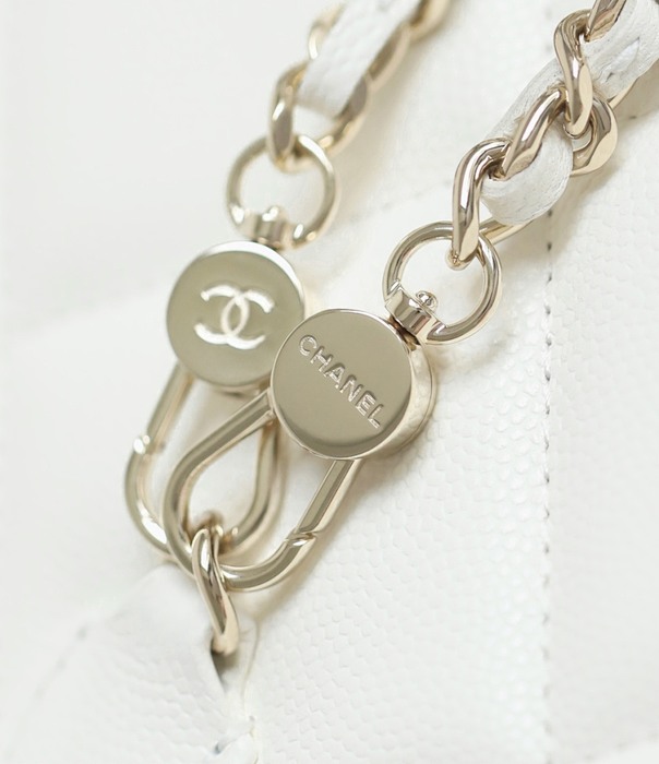 Chanel 19 bag celebrity