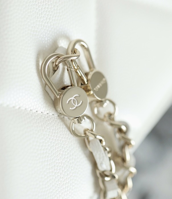 Chanel 19 bag celebrity