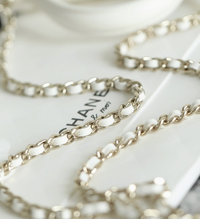 Chanel 19 bag celebrity