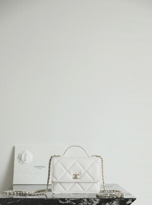 Chanel 19 bag celebrity