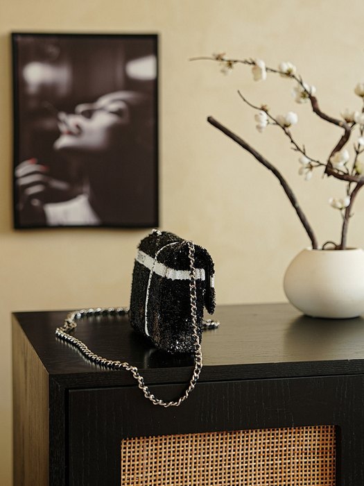 Chanel chain around bag