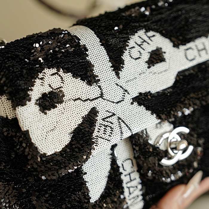 Chanel chain around bag