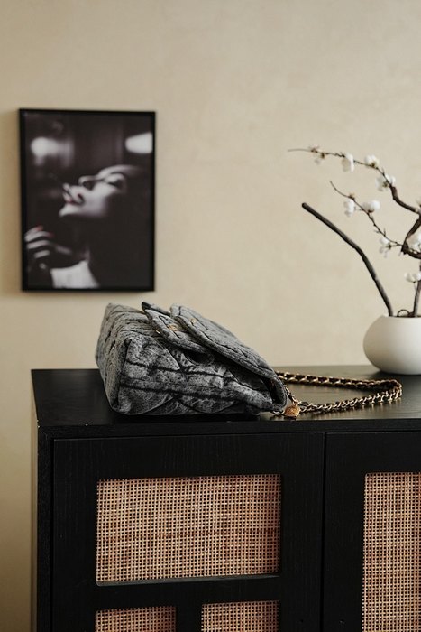 Chanel cruise 2025 bags