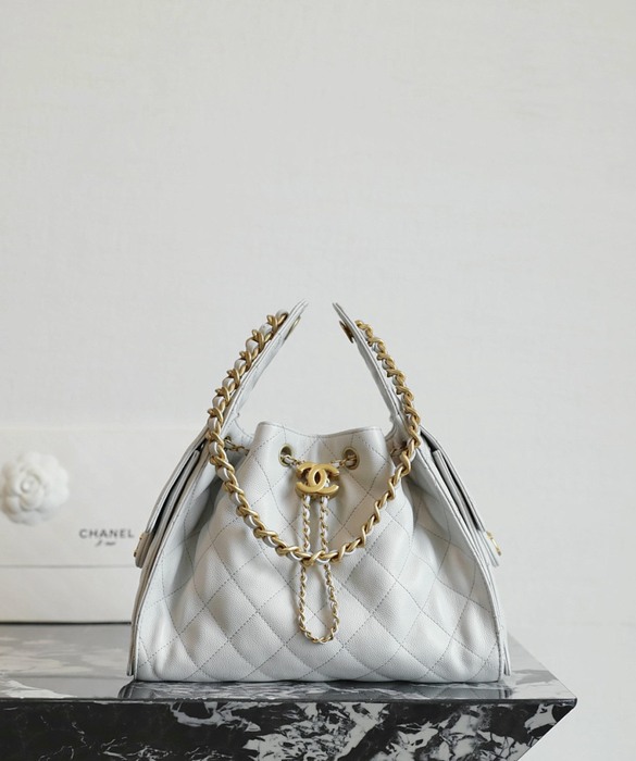 Chanel precision bag