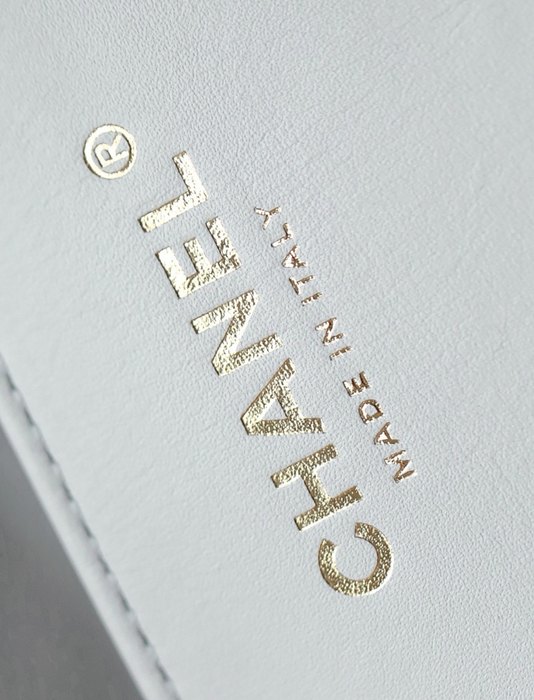 Chanel precision bag