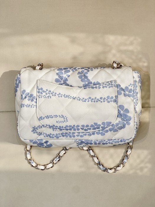 Chanel python bag