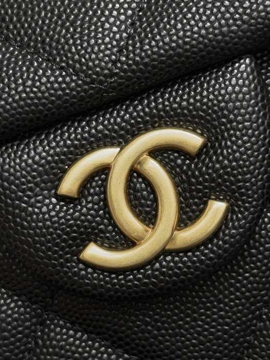 Gabrielle chanel bag