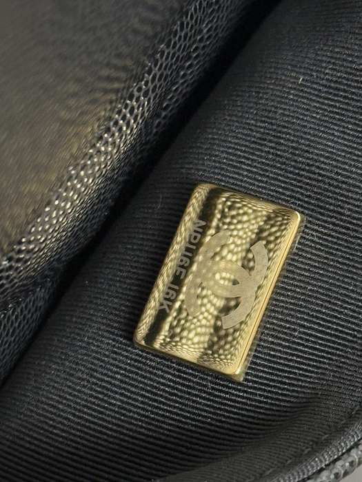 Gabrielle chanel bag