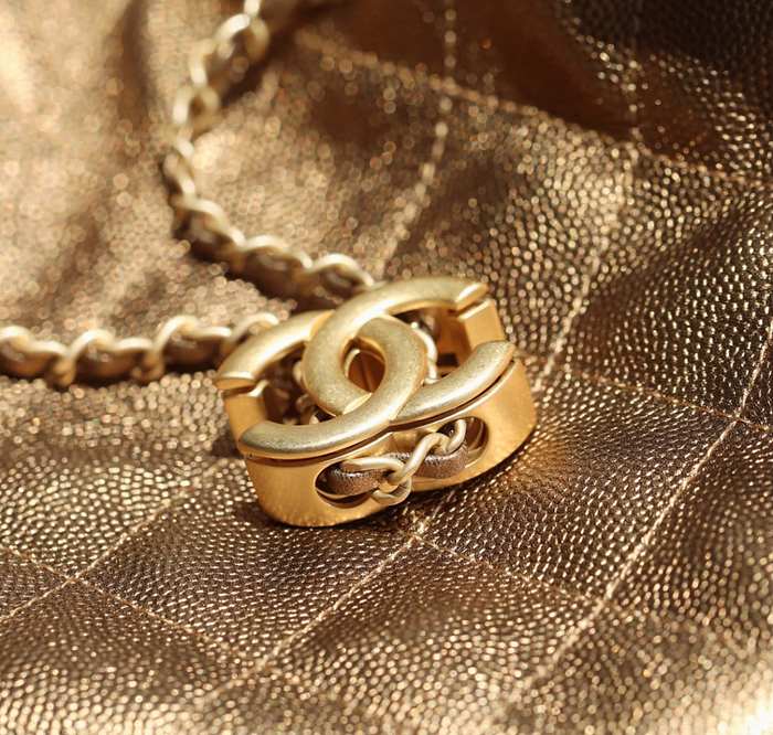 Vintage chanel diana bag