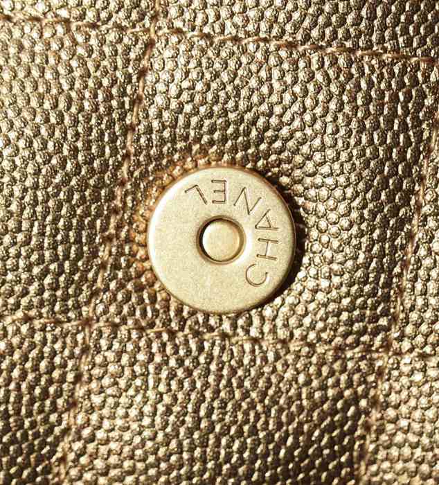 Vintage chanel diana bag