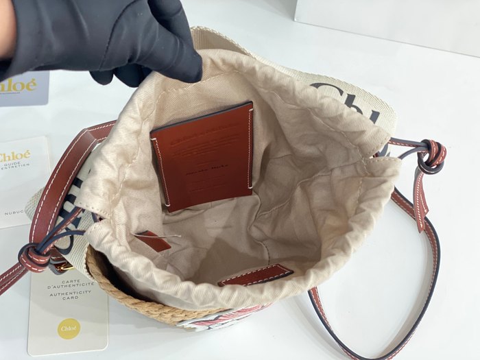 Chloe Stylish Tote Brown 01A