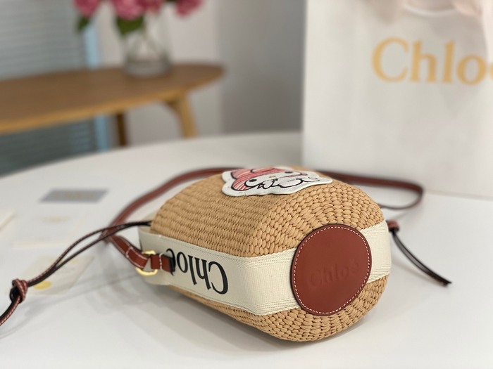 Chloe Stylish Tote Brown 01A