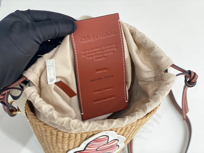 Chloe Stylish Tote Brown 01A