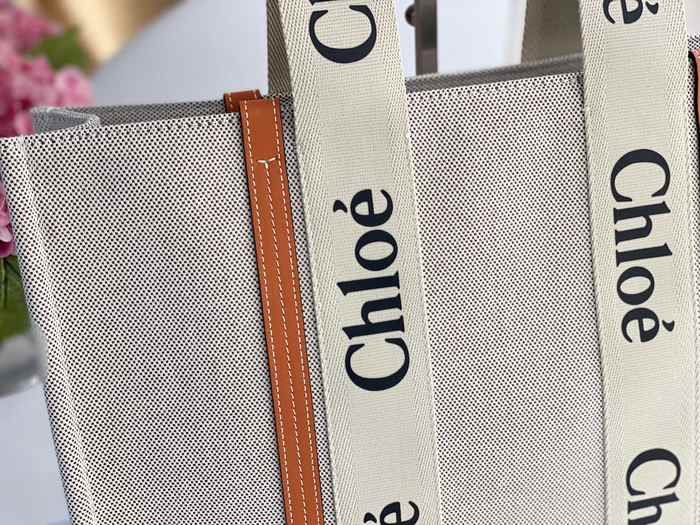 Chloe Tote bag with stylish design Beige 01A 2