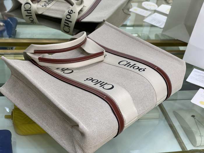 Chloe Tote bag with stylish design Beige 01A 3