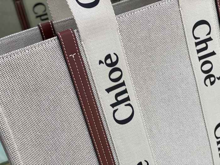 Chloe Tote bag with stylish design Beige 01A 3