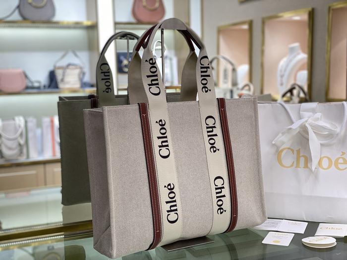 Chloe Tote bag with stylish design Beige 01A 3