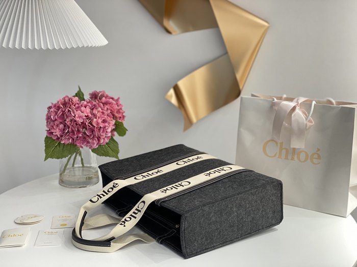 Chloe Tote bag with stylish features Grey 01A