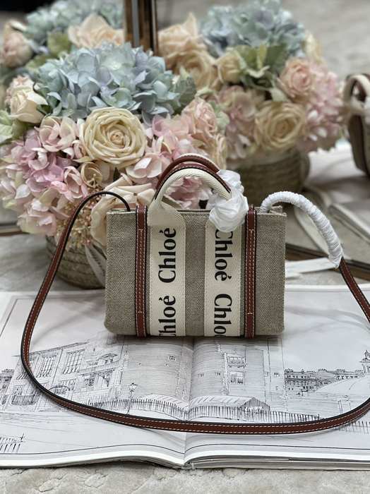 Chloe Tote bag with stylish traits Beige 01A 2