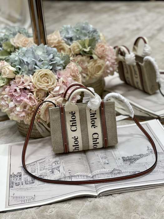 Chloe Tote bag with stylish traits Beige 01A 2