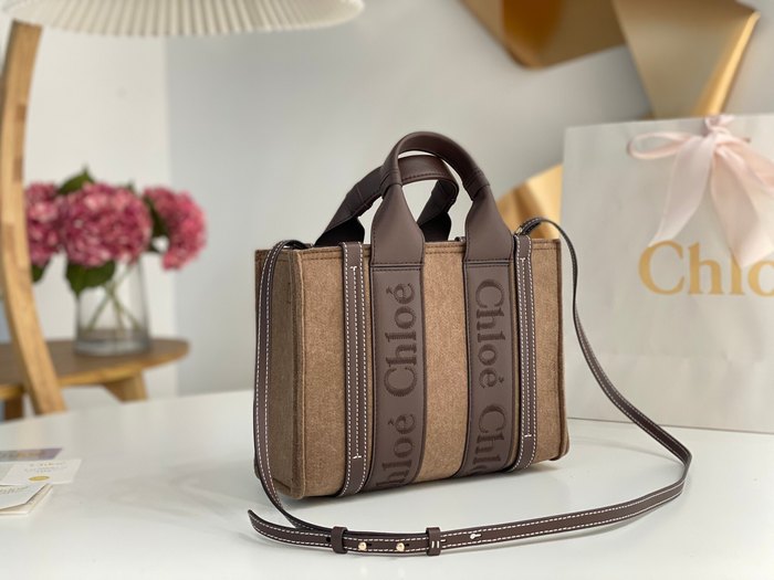 Chloe Tote bag with stylish traits Brown 01A 2