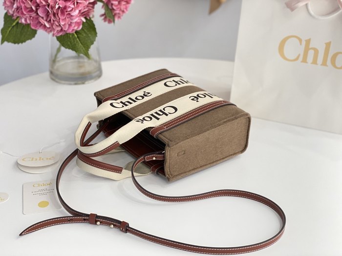 Chloe Tote bag with stylish traits Brown 01A 3