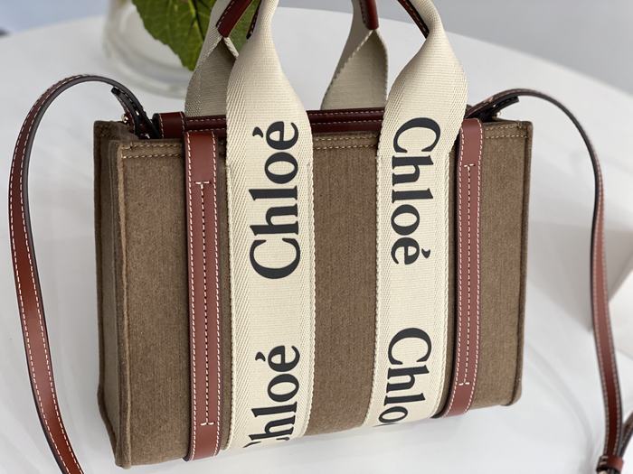 Chloe Tote bag with stylish traits Brown 01A 3