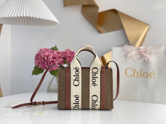 Chloe Tote bag with stylish traits Brown 01A 3