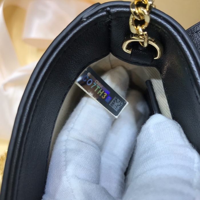 Chloe Tote style 19 Brown 01A