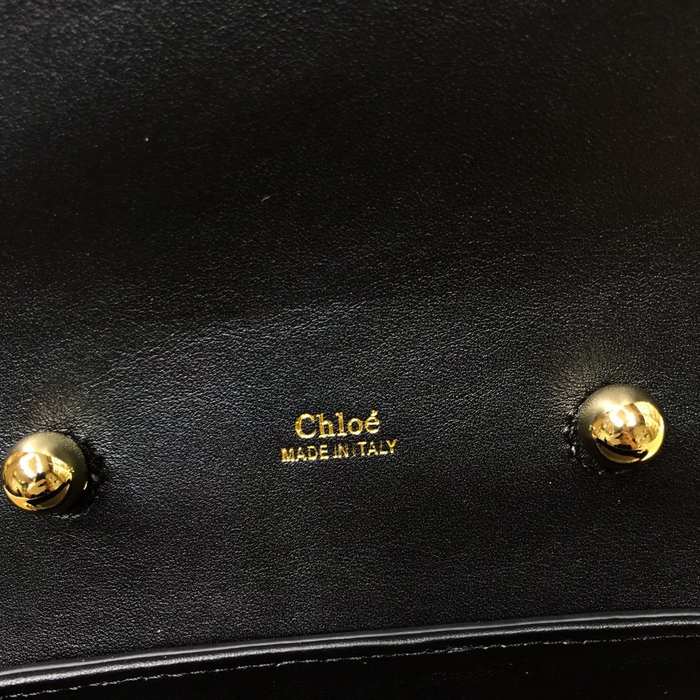 Chloe Tote style 19 Brown 01A