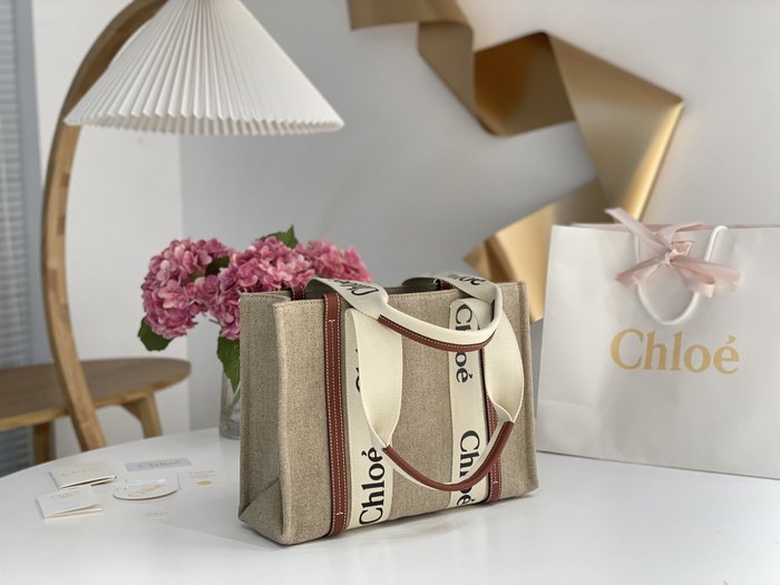 Chloe Tote with stylish traits Beige 01A 3
