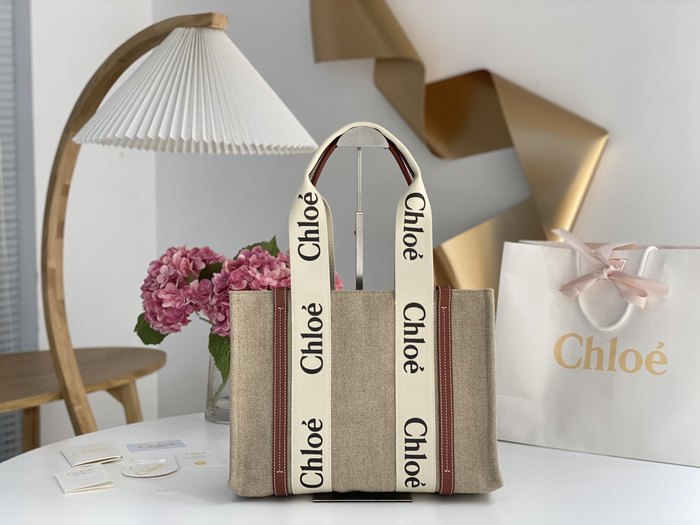 Chloe Tote with stylish traits Beige 01A 3