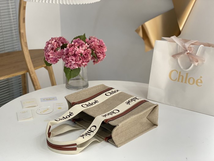 Chloe Tote with stylish traits Beige 01A 3