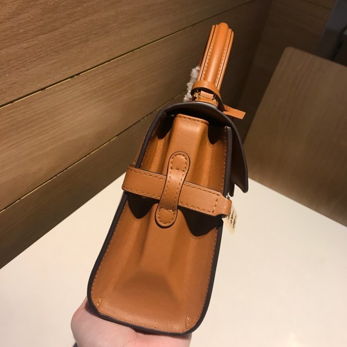 Delvaux Tote Bag with Stylish Features Tan 01A