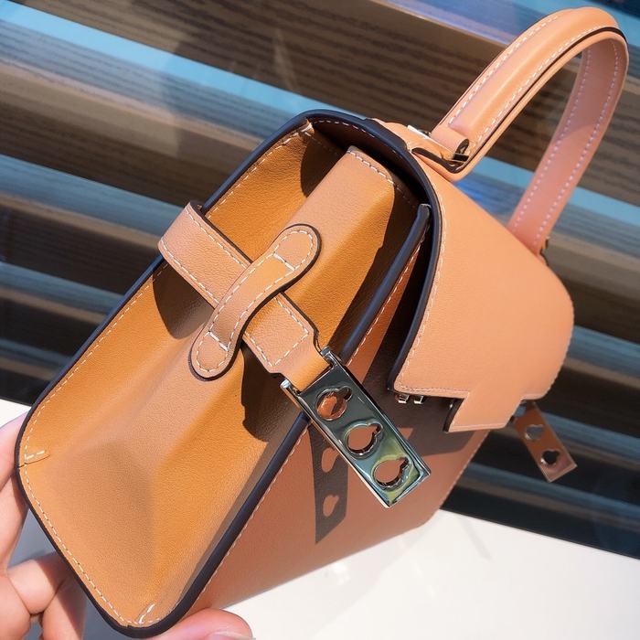 Delvaux Tote bag with elegant structure Brown 01A