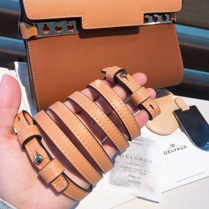 Delvaux Tote bag with elegant structure Brown 01A