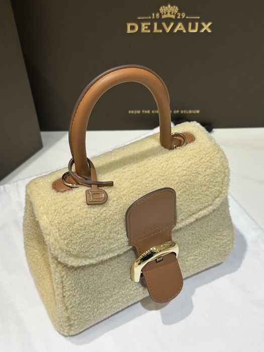 Delvaux Tote style 02 Brown 01A