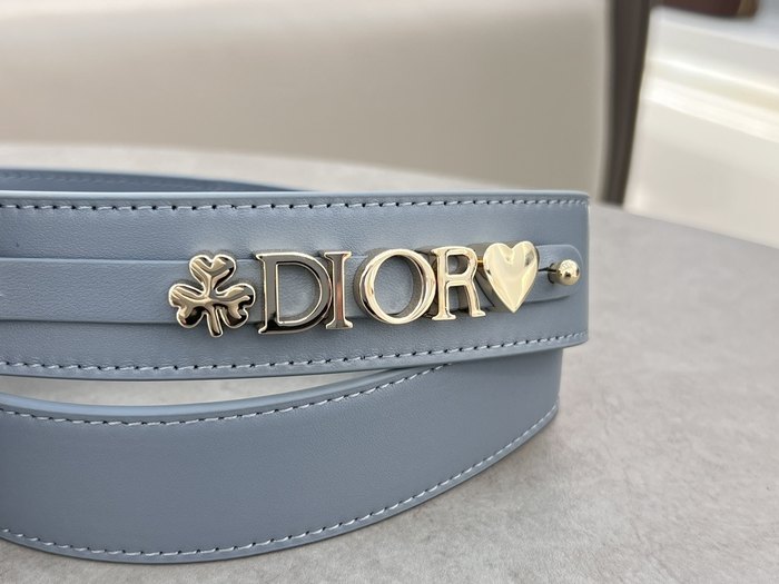 Dior Stylish Tote Grey 01A