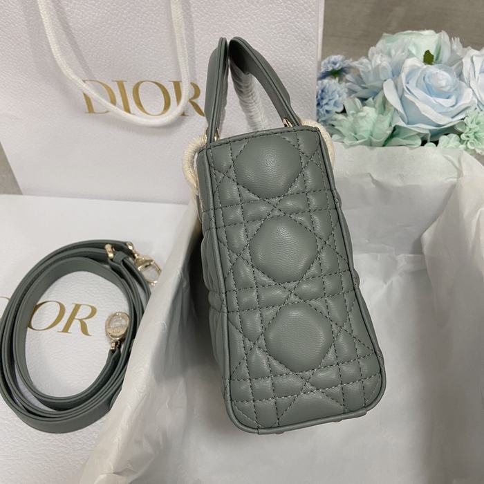 Dior Tote Bag Stylish Grey 01A