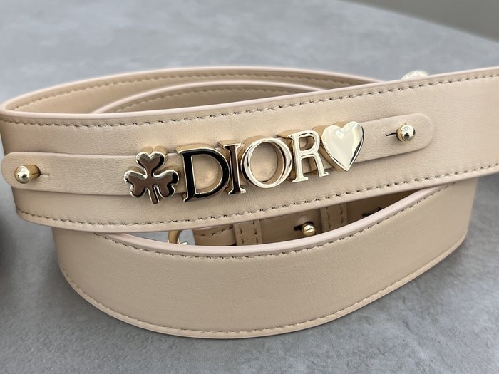 Dior Tote bag with modern design traits Beige 01A